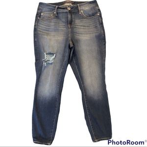 Torrid Premium Distressed Skinny Blue Jeans